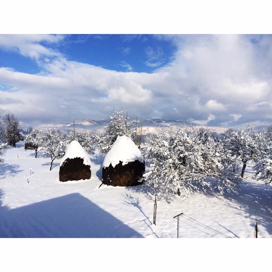 Pensiunea Martuca Surdesti  ภายนอก รูปภาพ